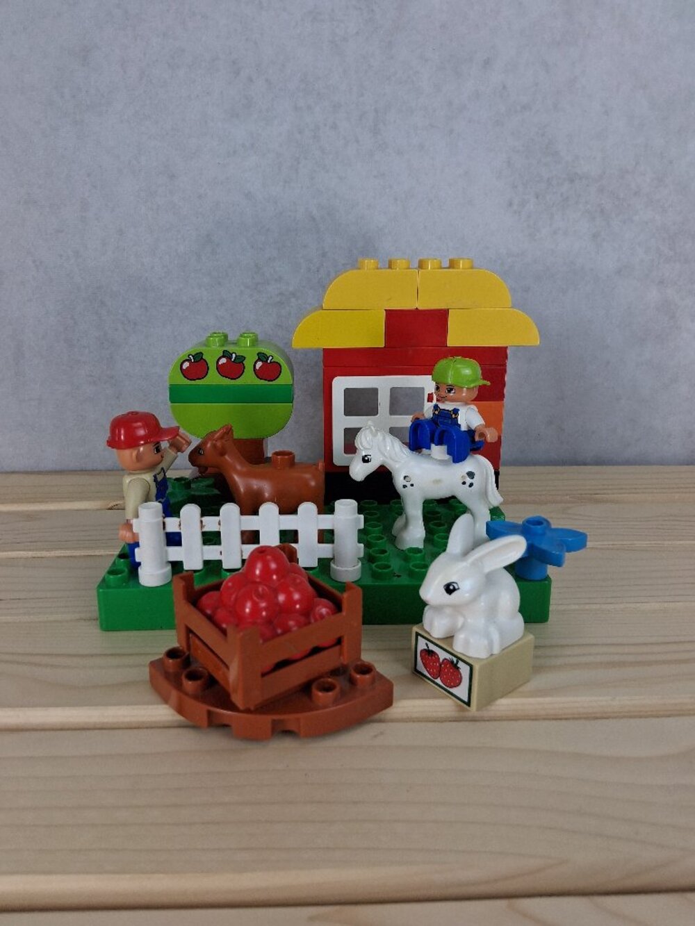 Lego Duplo My First Garden 10517 No Box or Manual - Incomplete brick set